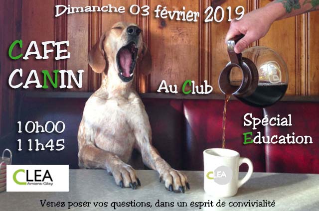 Affiche date cafe canin