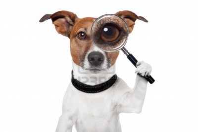 13914198-chien-avec-la-loupe-et-la-recherche-2.jpg