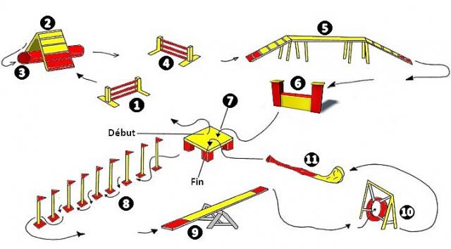 agility-parcours.jpg