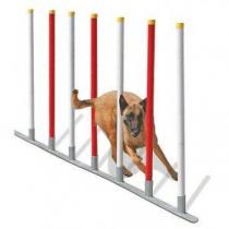 agres-agility-slalom-chien-1328799324-2.jpg