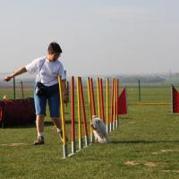 Le Slalom